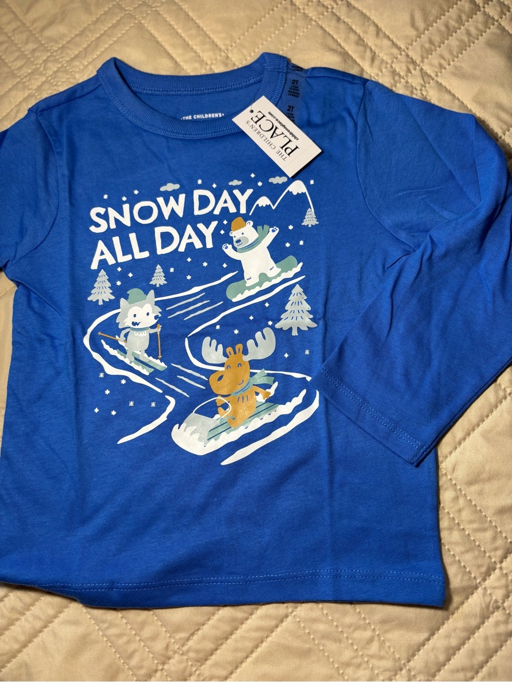 Children's Place 2T 'Snow Day All Day' Graphic Long Sleeve Tee